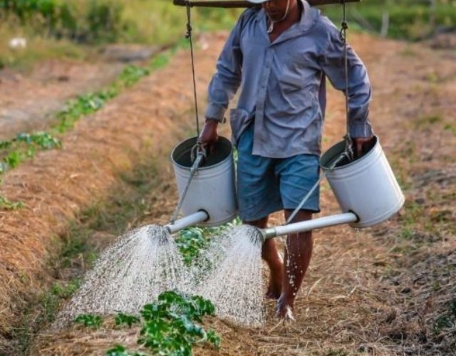 cropped-Agricultura-Organica.jpg